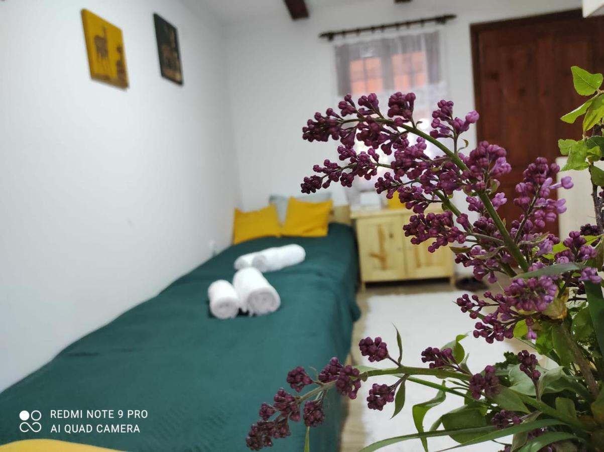 Appartement Mitrovic à Boljevac Extérieur photo
