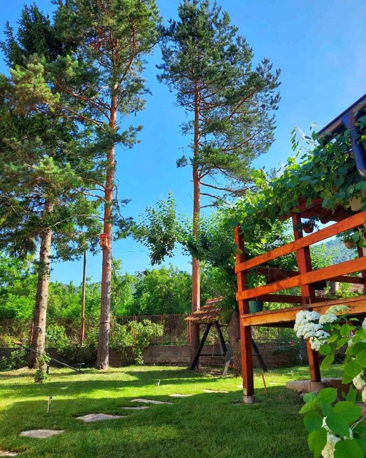 Appartement Mitrovic à Boljevac Extérieur photo
