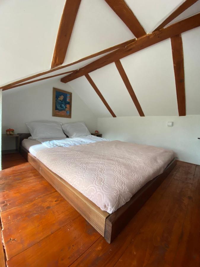 Appartement Mitrovic à Boljevac Extérieur photo