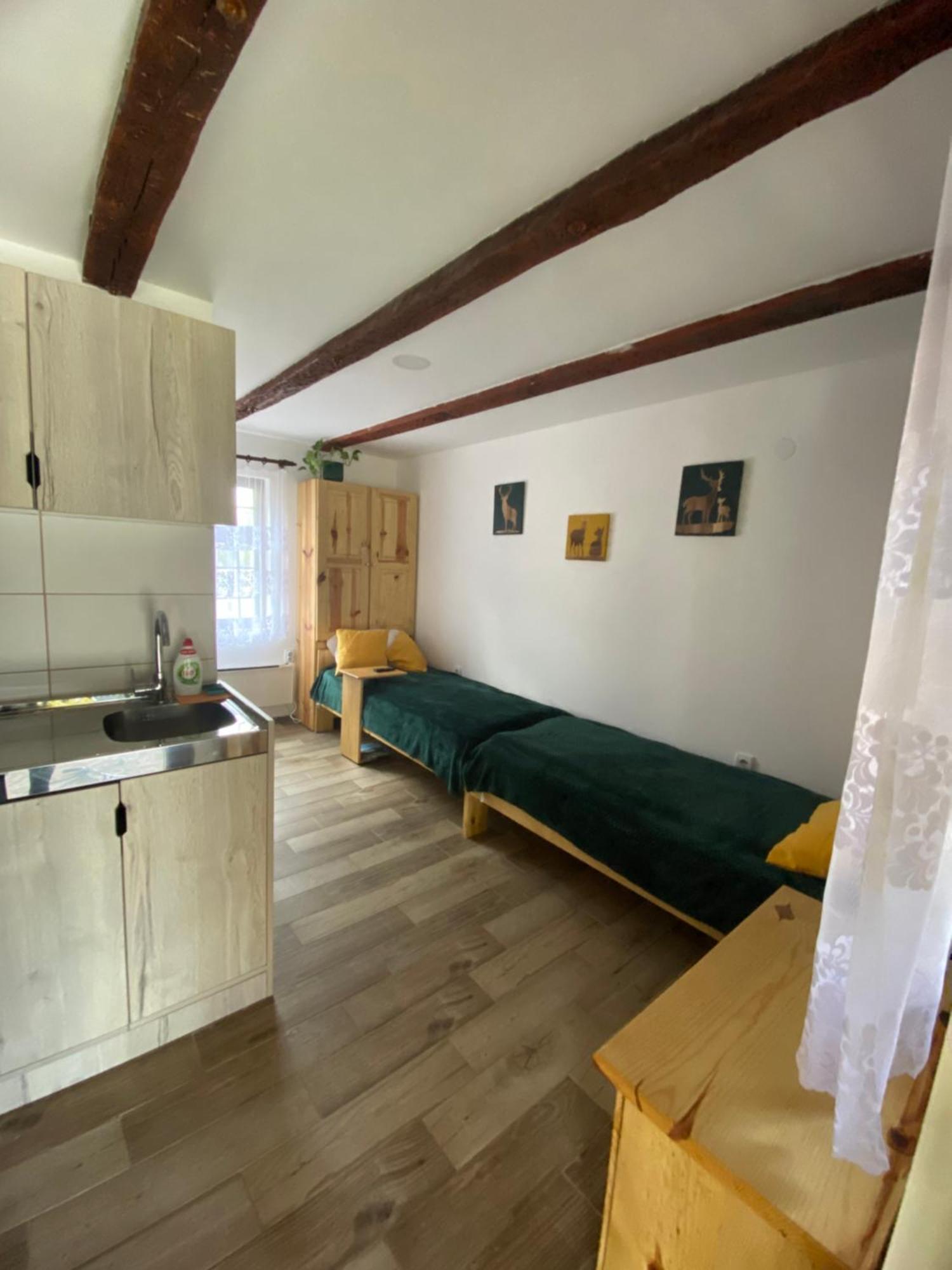 Appartement Mitrovic à Boljevac Extérieur photo